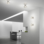 Kuk (Wall + Ceiling Light)