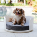 White Acrylic Curved Dog Bed - Pet Lounge Studio - Touch of Modern