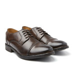 Dales Burnished Loafer // Cocoa (Euro: 41)