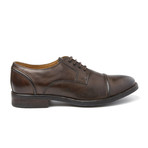 Dales Burnished Loafer // Cocoa (Euro: 42)
