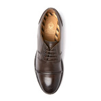 Dales Burnished Loafer // Cocoa (Euro: 40)
