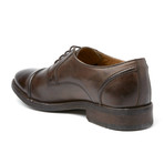 Dales Burnished Loafer // Cocoa (Euro: 42)