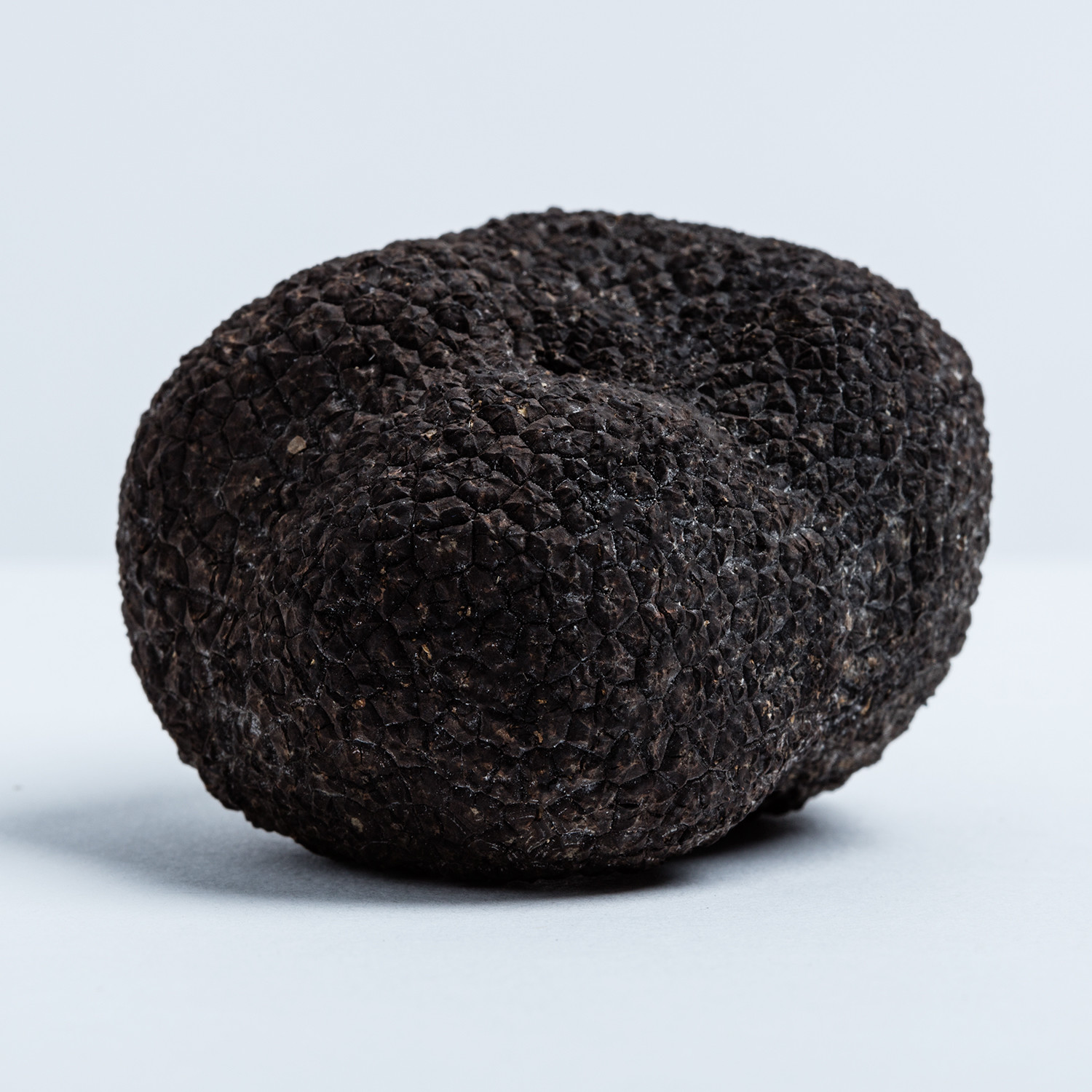 Fresh Italian Black Summer Truffle - Mikuni Wild Harvest - Touch of Modern