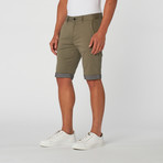 Trujillo Bedford Short // Grey (33)