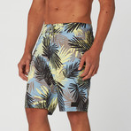 Roatan Board Short // Blue (31)