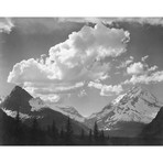 Trees in Glacier National Park // Montana, 1941 (16"W x 12.625"H)