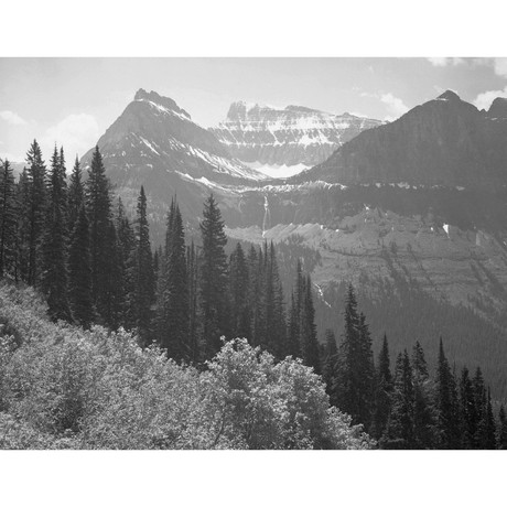 Trees, Bushes and Mountains, Glacier National Park // Montana, 1941 (16"W x 12.50"H)