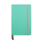 Notebook // Mint