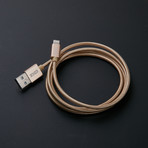 Gemini 2-in-1 Charge-N-Sync Cable // Solar Flare