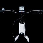 Boar E250 // Electric Fat Bike (Black)