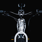 Boar E250 // Electric Fat Bike (Black)