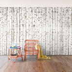 Birch Wall