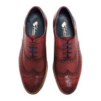 Brisbane Brogue // Bordo (UK: 10)