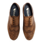 Brisbane Brogue // Tan (UK: 13)
