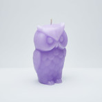 Angry Owl Skeleton Candle // Purple