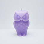 Angry Owl Skeleton Candle // Purple