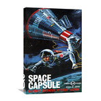 Space Capsule (20"W x 30"H x 1.5"D)