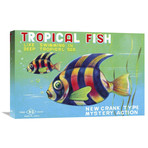 Tropical Fish (24"W x 16"H x 1.5"D)