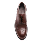 Smooth Oxford // Brown (Euro: 45)