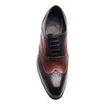 Two Toned Brogue // Black, Bordeaux (Euro: 43)