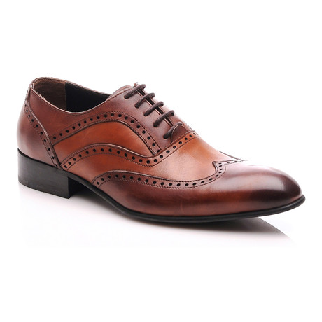 Patria Mardini // Brogue // Brown, Tobacco (Euro: 40)