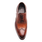 Patria Mardini // Brogue // Brown, Tobacco (Euro: 44)