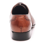 Patria Mardini // Brogue // Brown, Tobacco (Euro: 44)