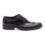 Perforated Brogue // Black (Euro: 43)