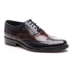 Perforated Brogue // Navy Blue, Bordeaux (Euro: 44)