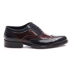 Perforated Brogue // Navy Blue, Bordeaux (Euro: 42)