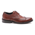 Wingtip Derby // Brown (Euro: 43)