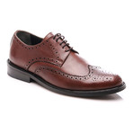 Wingtip Derby // Brown (Euro: 44)