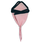 Scarlet Gessato Pocket Square // Navy Blue Border