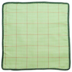 Plaid Asparagi Pocket Square // Olive Green Border