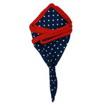 Sapphire Punteggiata Pocket Square // Red Border