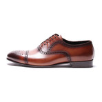 Medallion Toe Semi-Brogue Oxford // Tobacco (Euro: 41)