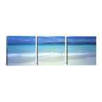 Great Barrier Reef // Queensland // Australia (36"W x 12"H x 0.75"D)