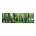 Chateau-Thierry // France (36"W x 12"H x 0.75"D)