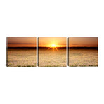 Sacramento Valley // California (36"W x 12"H x 0.75"D)