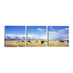 Grand Teton National Park // Wyoming (36"W x 12"H x 0.75"D)