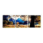 Half Dome // Yosemite National Park // California (36"W x 12"H x 0.75"D)