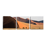 Sossusvlei // Namib-Naukluft National Park // Namibia (36"W x 12"H x 0.75"D)