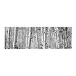 Rock Creek Lake // California (36"W x 12"H x 0.75"D)