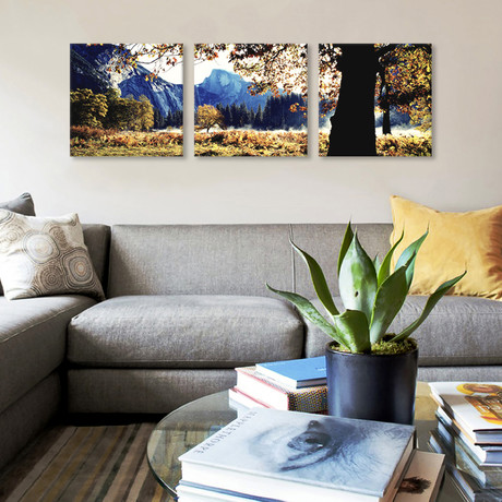 Half Dome // Yosemite National Park // California (36"W x 12"H x 0.75"D)