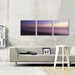 Los Angeles County // California (36"W x 12"H x 0.75"D)