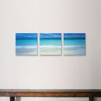 Great Barrier Reef // Queensland // Australia (36"W x 12"H x 0.75"D)