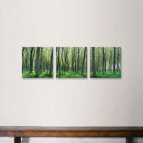 Chateau-Thierry // France (36"W x 12"H x 0.75"D)