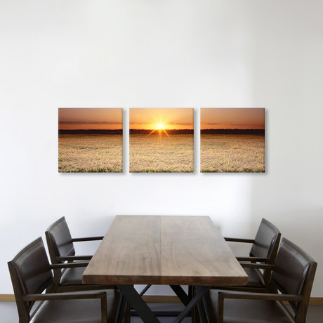 Sacramento Valley // California (36"W x 12"H x 0.75"D)