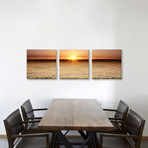 Sacramento Valley // California (36"W x 12"H x 0.75"D)