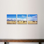 Grand Teton National Park // Wyoming (36"W x 12"H x 0.75"D)